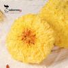 Fungos brancos de Gutian produtos secos atacado flor grande fungo branco fungo da neve fungo ceroso fungo branco seco fungo branco origem atacado direto