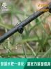 Gotejador de Irrigação por Gotejamento Compensador de Pressão 2/4/8/10/16L Estabilizador de Fluxo Agrícola Microaspersor Conector para Acessórios de Irrigação por Gotejamento
