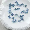 Nueva Joyería de Mariposa Fantasía de Luz Azul Estilo Ins Libro Rojo con Joyería de Manicura de Mariposa de Jardín Colorido Romántico