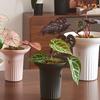 Maceta de Plástico Grueso Autoabsorbente Estilo Nórdico Extra Grande para el Hogar Simple de Resina con Plato Balcón Sala de Estar Control de Raíces