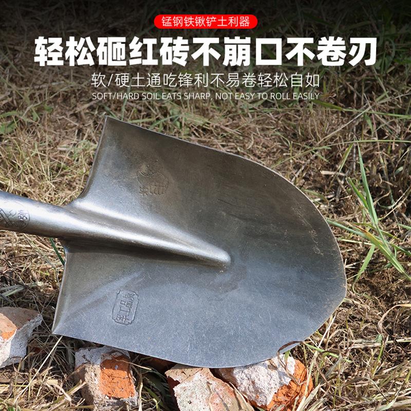 2 拷贝.jpg