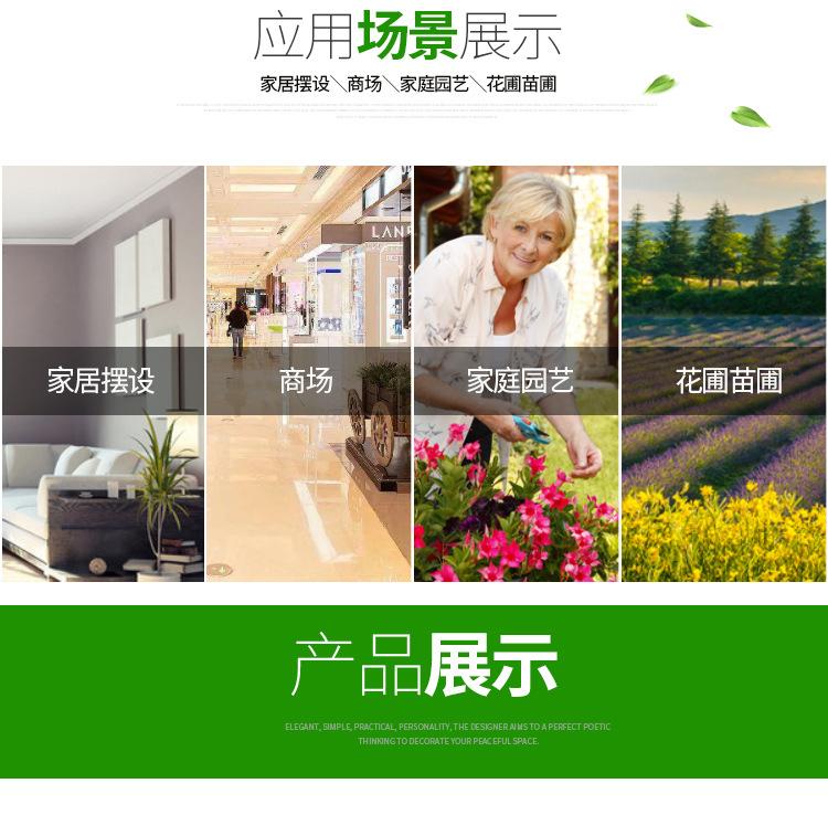 花盆详情_07.jpg