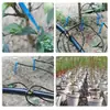 Dispositivo de riego por goteo 3/5 al por mayor para plantas en maceta de invernadero, plantones de huerto, con una salida para dos o cuatro salidas para riego