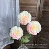 Dragão de 3 Cabeças Carpa Koi Peônia Flor Artificial Decoração de Salão de Casamento Guia de Caminho Arranjo de Chão Flor Artificial Flor de Seda Decoração de Casa