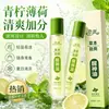 Aceite Refrescante Herbal Roll-On para Estudiantes, Trabajadores de Oficina y Conductores para Combatir el Sueño y la Fatiga, Enviado por el Fabricante