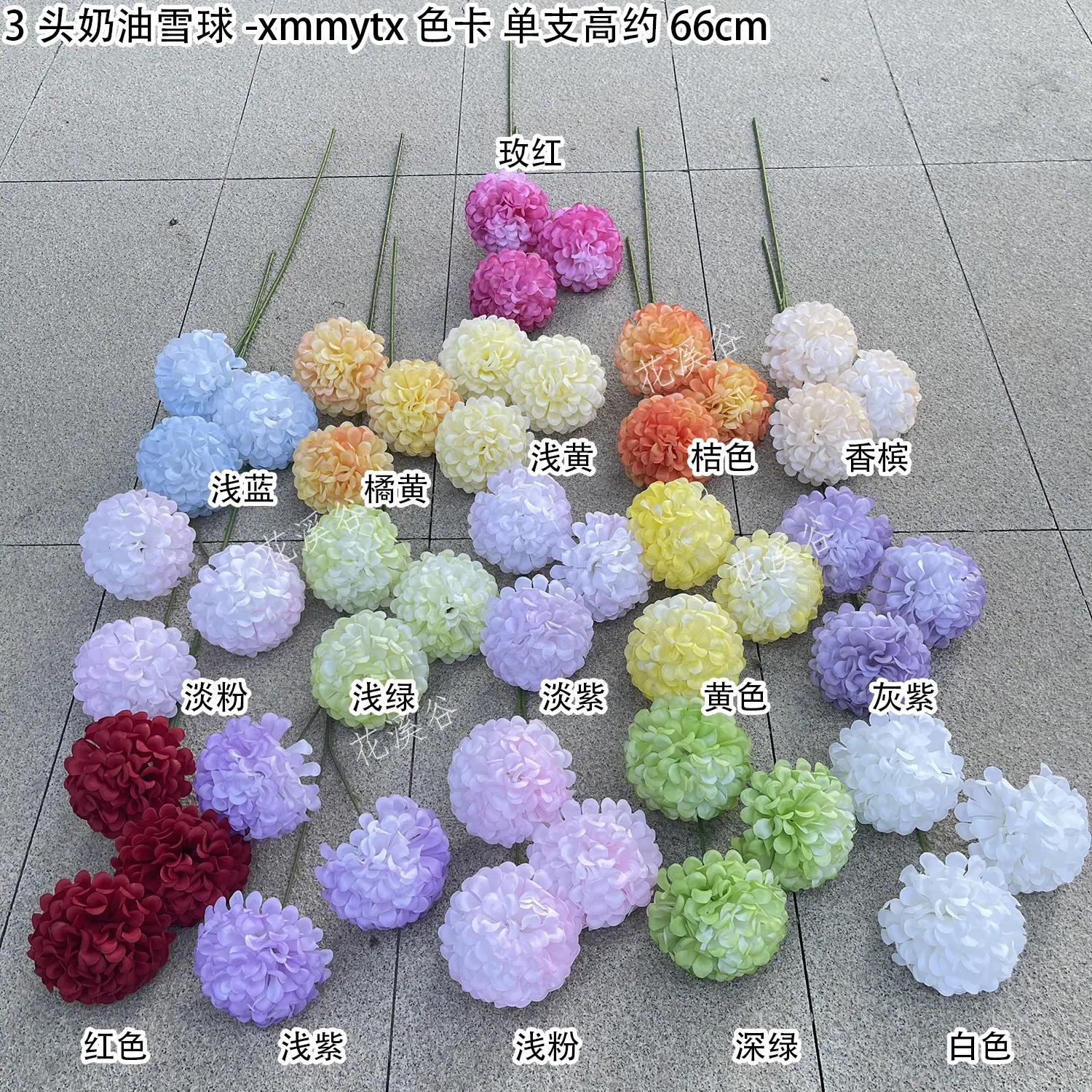 3头奶油雪球-xmmytx 色卡 花溪谷.jpg