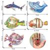 Fábrica de Brinquedos de Pesca em Atacado Playground de Jardim de Infância Magnético Plástico Peixe Pequeno Estéreo Dupla Face Pesca Infantil