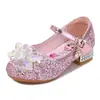 Primavera de 2026 Novos Sapatos de Princesa para Crianças Sapatos de Couro para Apresentação Meninas Pequenas Sapatos de Cristal Atacado Sapatos de Princesa Elsa