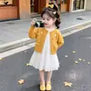 Vestido para niña, nueva colección otoño 2026, abrigo suéter tejido para niños, conjunto de vestido de princesa, atuendo de otoño para bebé, vestido de manga larga