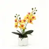 2 Flores Artificiales Phalaenopsis en Maceta Cuadrada Macetas de Piedra Accesorios de Fotografía para Sala de Estar Planta Verde Artificial Decoración de Película
