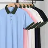 Camisa Polo Formulación Uniforme Escolar de Verano Camiseta de Manga Corta Ropa de Trabajo Cultura Publicitaria Camisa con Cuello Ropa de Trabajo Logo Impreso Personalizado