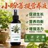Solución nutritiva especial para Bodhi Xiao Pan para promover el enraizamiento, fortalecer las plántulas, prevenir el amarillamiento de las hojas, la caída de hojas, la caída de frutos, la falta de fructificación, la pudrición de raíces, el marchitamiento, la dificultad de cultivo