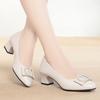 Zapatos de una sola capa con hebilla cuadrada para mujer 2022 Primavera y Otoño nuevos zapatos de cuero tacón grueso mujeres de mediana edad suela suave cómodos cuero suave zapatos de madre