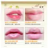 Bálsamo Labial de Planta de Miel Hidratante Hidratante Incoloro Bálsamo Labial Hidratante Anti-Sequedad Fábrica Mayorista Personalizado