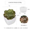 Planta Verde Mini Transfronteriza Hecha a Medida Maceta Artificial Ins Simulación Bonsái Pequeño Pavimento de Piedra Cuadrada Planta en Maceta Cerámica Suculenta