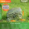 Impermeable Exterior Jardín Animal Césped Rocalla Jardín Piedra Parque Altavoz Exterior Imitación Piedra Césped Altavoz de Audio