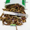 Casca de Phyllophytum, Madeira de Phyllophytum, Espinho de Phyllophytum, Casca de espinho de Phyllophytum, medicina herbal chinesa autêntica a granel sem adulteração, atacado e varejo
