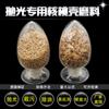 Roble nuez cáscara material filtrante agua aceitosa tratamiento cáscara de nuez alta dureza cáscara de nuez pulido abrasivo cáscara de fruta polvo