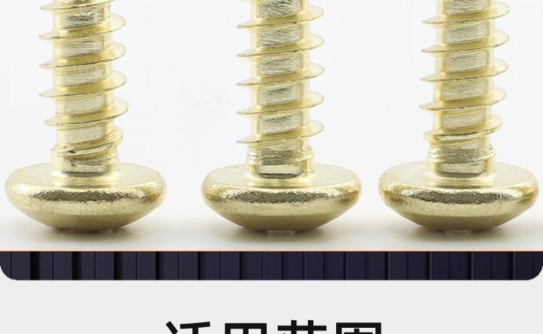 304不锈钢金色十字圆头自攻螺丝_03_20.jpg