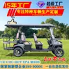 Carrito de Golf Eléctrico de Cuatro Ruedas Vehículo de Recepción para Vista Panorámica en Parques de Áreas Escénicas Transporte Hotel Aeropuerto Carrito de Golf