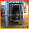 Secador por liofilización de ramen, fideos instantáneos, secador por liofilización a baja temperatura, secador por liofilización de deshidratación de bolsa de verduras, equipo