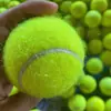 Pelotas de Entrenamiento de Tenis Pelotas de Entrenamiento de Tenis para Niños Pelotas de Tenis Resistentes a Mordeduras de Perro Principiante Alta Elasticidad Práctica Masaje Pelotas de Fitness