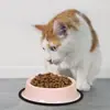 Tigela de Ferro para Gato, Tigela de Comida para Gato, Tigela de Arroz para Gato, Tigela de Água Potável, Tigela para Pet, Tigela de Comida para Cachorro, Tigela para Cachorro, Tigela de Ferro, Suprimentos para Pet Resistentes a Quedas