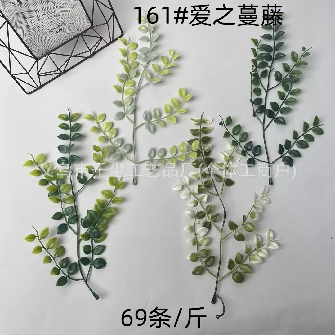 161#爱之蔓藤.jpg