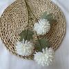Crisântemo Bola Cebolinha Bola Flor Casamento Decoração de Casamento Celebração Projeto Flor Artificial Flor Falsa Decoração de Casa Ornamentos Fotografia
