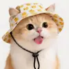 Suprimentos para Pets Chapéu para Pet Chapéu de Cachorro com Orelhas Expostas Antiderrapante Ajustável Chapéu de Bacia Chapéu para Filhote Chapéu de Gato Chapéu de Cachorro