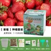 Plantas en Maceta Hechas a Mano para Niños Estudiantes de Primaria para Observar el Crecimiento de las Plantas Cultivo y Germinación DIY Mini Plantas Verdes en Maceta