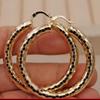 Brincos femininos de comércio eletrônico transfronteiriço europeu e americano AliExpress ebay popular brincos femininos exagerados