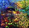 Pintura de diamantes 5D transfronteriza nueva DIY diamantes completos alas de animal coloridas pintura decorativa fabricantes venta al por mayor suministro de comercio exterior