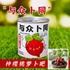 Kit de Plantio Fofo de Panda para Crianças, Presente Criativo para Alunos do Ensino Fundamental, Planta Artesanal DIY, Planta Verde em um Recipiente