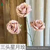 Flor de Rosa Lunar de Tres Cabezas Rama Única Rosa Arcoíris Mar de Flores Rincón de Check-in de Celebridades de Internet Decoración de Paisajismo de Área Escénica Venta al por Mayor