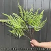 Casamento verde planta verde simulação Tianmen planta verde de inverno casamento flor plástica decoração de bambu fileira estrada chumbo hortênsia Sino Pendurado