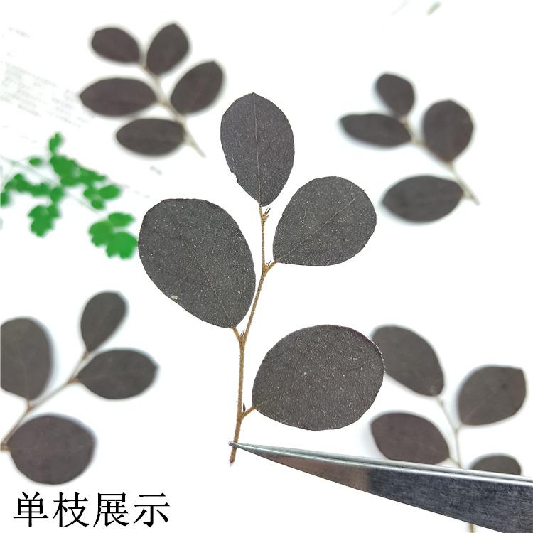 IMG20190127112609.jpg