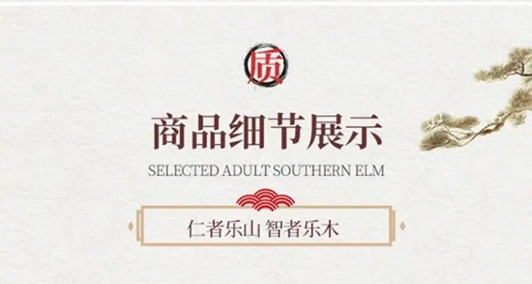 db9178eb-ea74-425c-a483-565afbf5c443.jpe