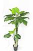 Simulación de comercio exterior taro verde simulación taro de hadas bonsái planta de simulación Guanyin goteante adornos decorativos en maceta venta al por mayor