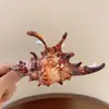 Nuevo Modelo 2025 Diseño Sencillo Pinza para el Cabello de Tiburón con Forma de Ola para la Parte Trasera de la Cabeza, Pinza Grande de Gama Alta para Mujeres