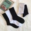 Calcetines para Mujer Estilo Coreano de Media Caña Ins Trendy Combinan con Todo para Niño Otoño Medias para Mujer Estudiantes Blancos de Caña Larga Calcetines de Cintura Alta