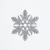 Decoraciones Navideñas de Copo de Nieve de 10 cm Transfronterizas Plástico Polvo Decoraciones para Árbol de Navidad Suministros Colgante Fabricante Venta al por Mayor