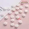 Flor de Resina Blanca Pequeña Rosa Accesorios Hecho a Mano DIY Funda para Teléfono Estilo Antiguo Accesorios para el Cabello Fabricación Materiales de Decoración