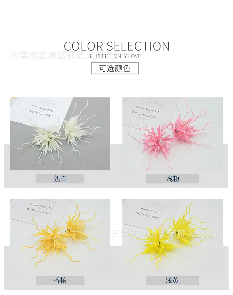 详情_02.jpg