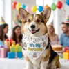 Bandana Personalizada com Nome para Cães Grandes Como Teddy, Samoyed, Golden Retriever, Labrador, Husky e Malamute do Alasca