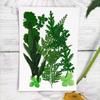 Material de Embalagem para Flor Seca Transfronteiriça Flor para Marca-páginas diy Flor Seca com Cola Gota Capa de Celular com Flor Seca Embotada Espécime de Planta Embotado
