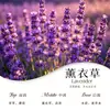 Varetas Difusoras para Casa e Hotel, Aromaterapia Sem Chama de Grande Capacidade, Fragrância para Escritório e Banheiro, Aroma de Longa Duração, Purificador de Ar