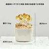 Adornos de Escritorio Hechos a Mano de Flor de Jacinto Suculento Esmaltado Decoración de Maceta de Planta Artificial de Vidrio Micro Paisaje Creativo