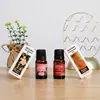 Fuente de aceite esencial vegetal transfronteriza 10ml lavanda rosa aromaterapia humidificador atomizador máquina de aromaterapia aceite esencial