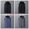 Chaleco desmontable de otoño e invierno para hombre Amazon Chaqueta sin mangas AliExpress Chaleco de algodón plumón ebay Salida de fábrica